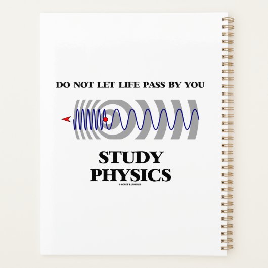 Lass das Leben nicht durch dein Studium der Physik Planer (Rückseite)