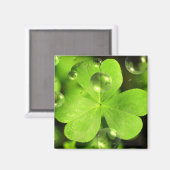 Lass dein Glück nicht aus dem Magnet. Magnet (Vorderseite/Rückseite)