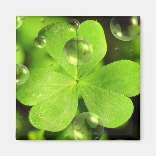 Lass dein Glück nicht aus dem Magnet. Magnet (Vorne)