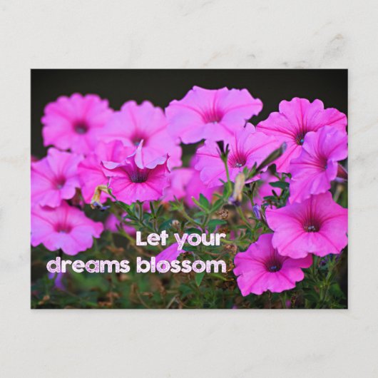 Lass dein Träume Blossom Postkarte (Vorderseite)