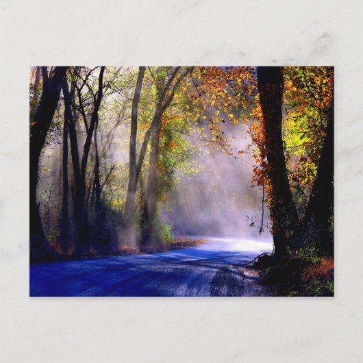 Lass deinen Lichtschacht Postkarte (Vorderseite)