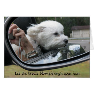 "Lass den Breeze durch dein Haar!