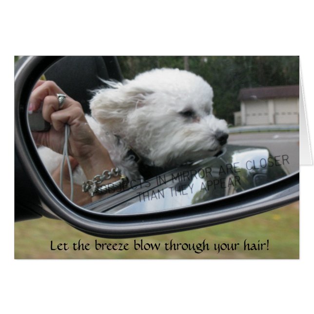 "Lass den Breeze durch dein Haar! (Vorderseite (Horizontal))