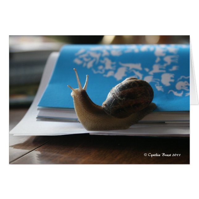 Lass den Sonnenschein! (Vorderseite (Horizontal))