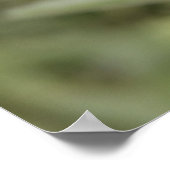 Lass die Schönheit, was du Liebe? Poster (Ecke)