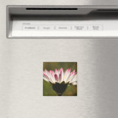 lass die Sonne rein Magnet (In Situ (Geschirrspüler))