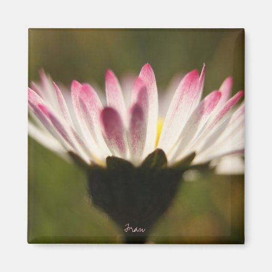 lass die Sonne rein Magnet (Vorne)