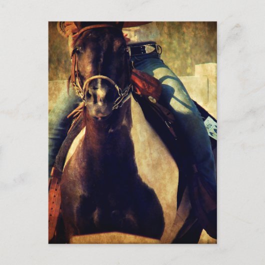 Lass dieses Pinto Pony Run Postkarte (Vorderseite)
