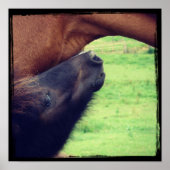 Lass dir ein Geheimnis. Poster (Vorne)