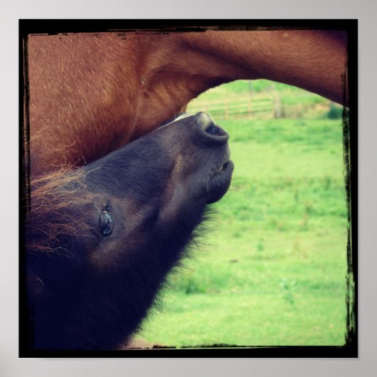 Lass dir ein Geheimnis. Poster (Vorne)