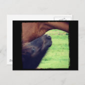 Lass dir ein Geheimnis. Postkarte (Vorne/Hinten)