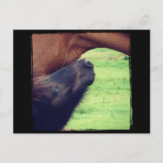 Lass dir ein Geheimnis. Postkarte (Vorderseite)