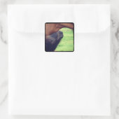 Lass dir ein Geheimnis. Quadratischer Aufkleber (Tasche)