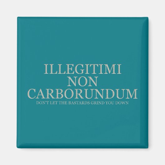 Lass dir nicht die Bastards, die dich abschleifen  Magnet (Vorne)