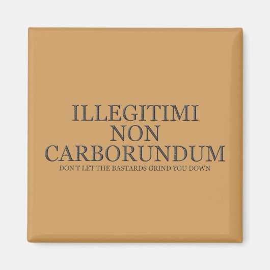 Lass dir nicht die Bastards, die dich niederreißen Magnet (Vorne)