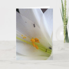 Lass dir nicht die Kleinen Sachen... Feiertagskarte