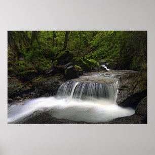 Lass es Flow 36 x 24 Poster