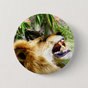Lass es Go_ Button