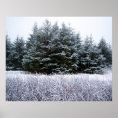 Lass es Schneebesen Poster (Vorne)