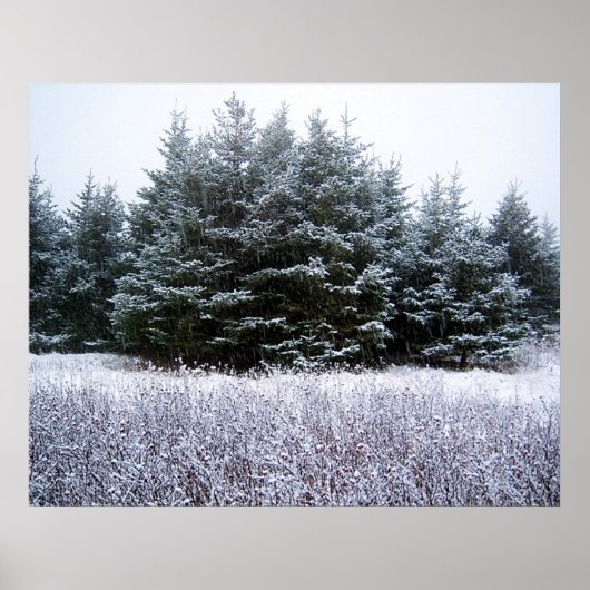 Lass es Schneebesen Poster (Vorne)