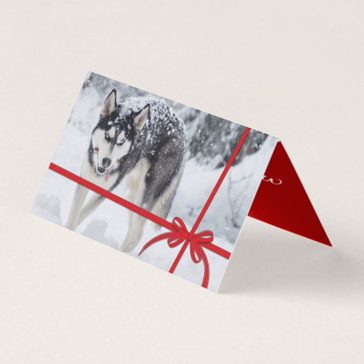 Lass es schneien (Vorderseite)