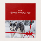 Lass es schneien (Außenseite Aufgefaltet)