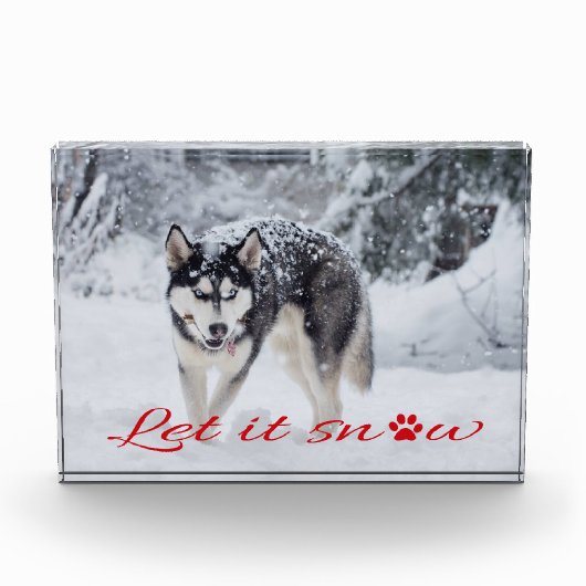 Lass es schneien fotoblock (Vorderseite)