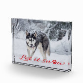 Lass es schneien fotoblock (Rechts)