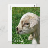 Lass es Ziege Postkarte (Vorne/Hinten)