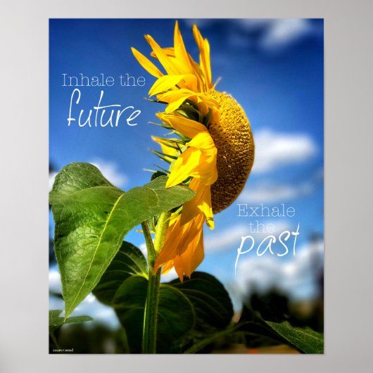 Lass Go and Looking Ahead Poster (Vorne)