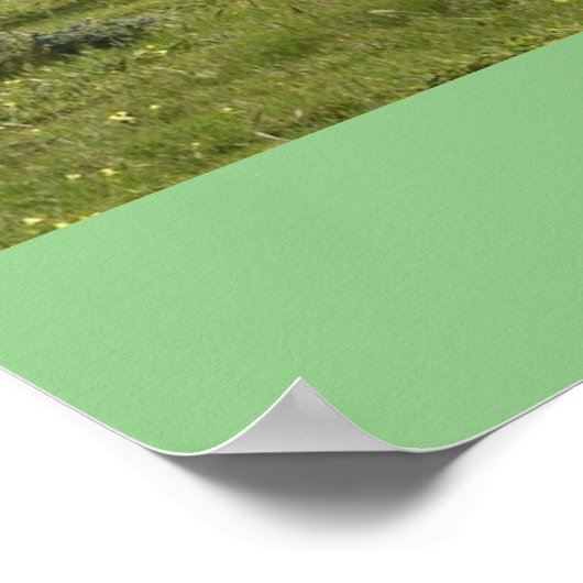 Lass Go und Lass Gott Pony Ponies Poster (Ecke)