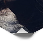 "Lass hin oder sei gezerrt" und mächtiges Pferd Poster (Ecke)