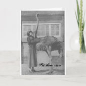 Lass ihnen Stare Feiertagskarte (Vorderseite)