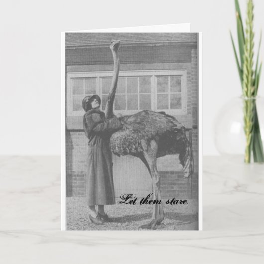 Lass ihnen Stare Feiertagskarte (Vorderseite)