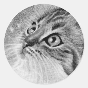 Lass ist Schnee Kitty Cat Runder Aufkleber