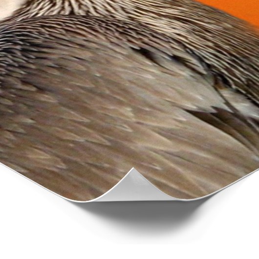 Lass It Be_ Poster (Ecke)