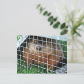 Lass Me Out Kalender ~ Postkarte (Stehend Vorderseite)