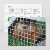 Lass Me Out Kalender ~ Postkarte (Vorne/Hinten)