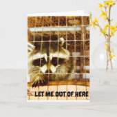 LASS MIR AUS, DAMIT ICH IHNEN SAGEN KANN: "BALD BA KARTE (Gelbe Blume)