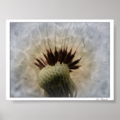 Lass mir die Brise. Poster (Vorne)