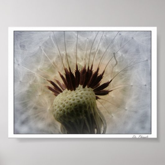 Lass mir die Brise. Poster (Vorne)