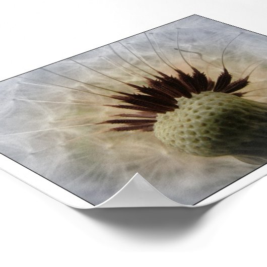 Lass mir die Brise. Poster (Ecke)