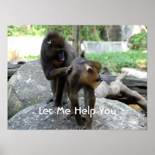 lass mir dir zu helfen - kluge Babys Poster