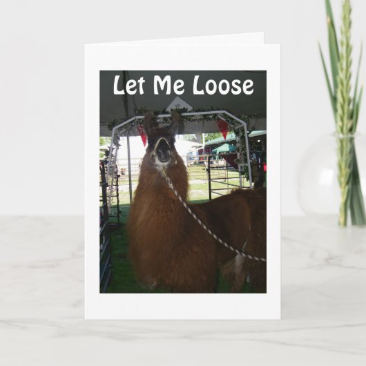 LASS MIR LOOSE, GLÜCKLICH GEBURTSTAG ZU SAGEN KARTE (Vorderseite)