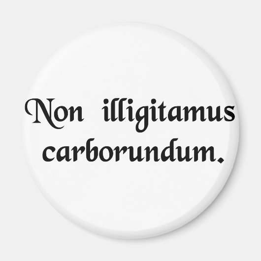 Lass nicht die Bastarde, die dich niederreißen. Magnet (Vorne)