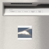 LASS"S FLYAWAY MAGNET (In Situ (Geschirrspüler))