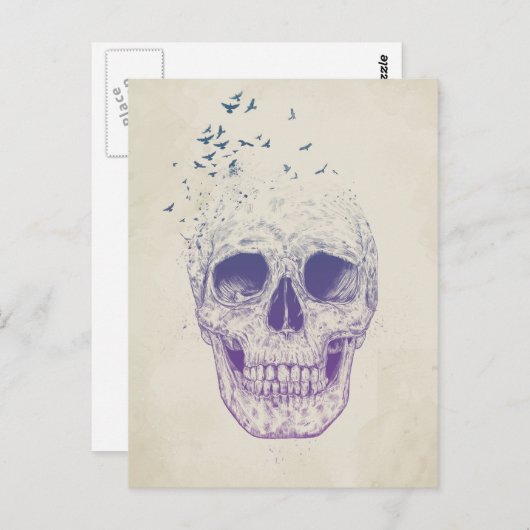 Lass sie fliegen postkarte (Vorne/Hinten)