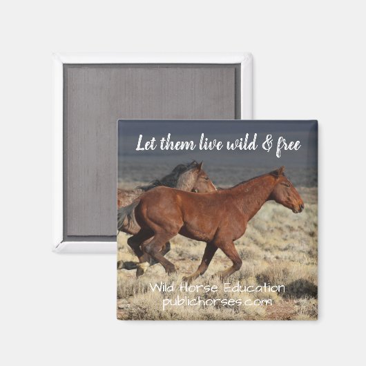 Lass sie frei und lebendig magnet (Vorderseite/Rückseite)