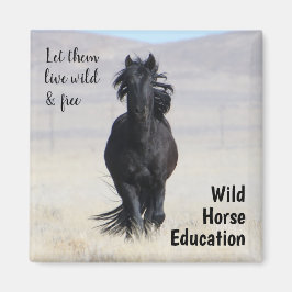 Lass sie frei und lebendig magnet