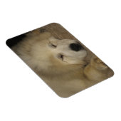 Lass Sleeping Pyrs Lie Magnet (Rechte Seite)